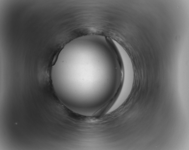 X0000089700613200707051645