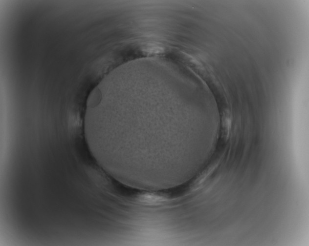 X0000089700614200707051645