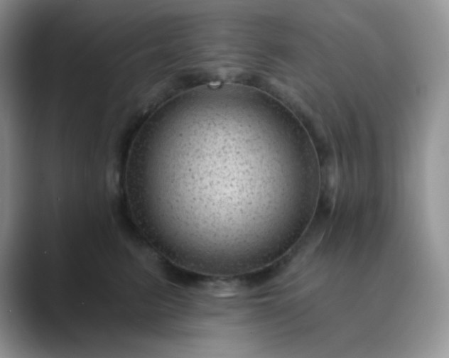 X0000089700615200707051645