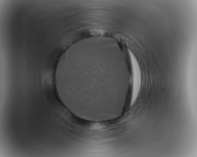 X0000089700616200707051645