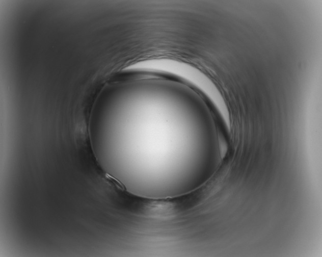 X0000089700617200707051645