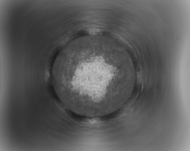 X0000089700618200707051645