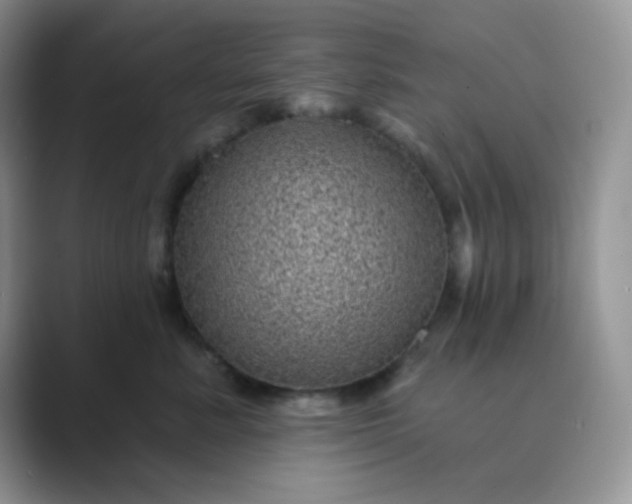 X0000089700619200707051644