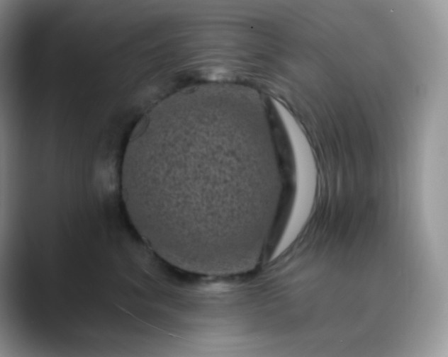 X0000089700620200707051644