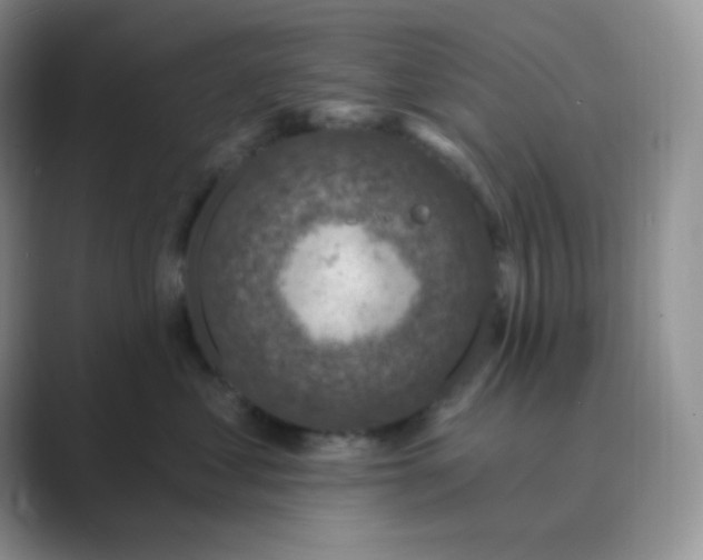 X0000089700621200707051644