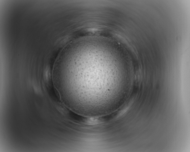 X0000089700623200707051644