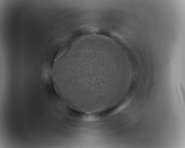 X0000089700624200707051644