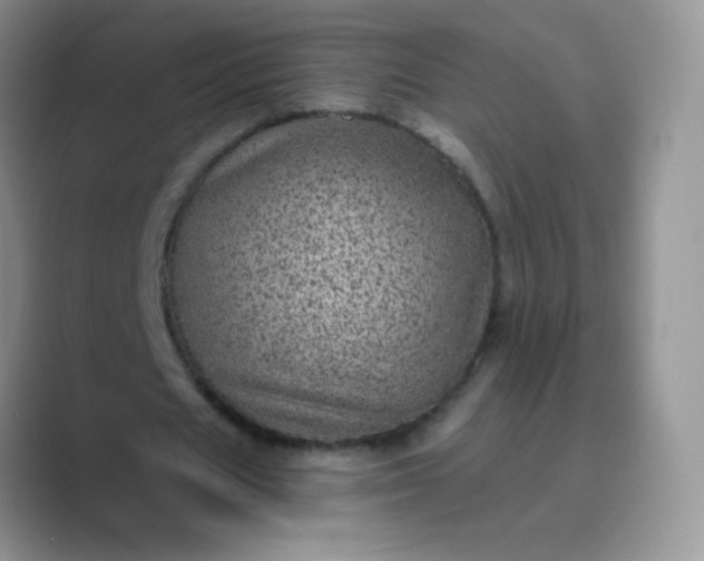 X0000089700625200707051644