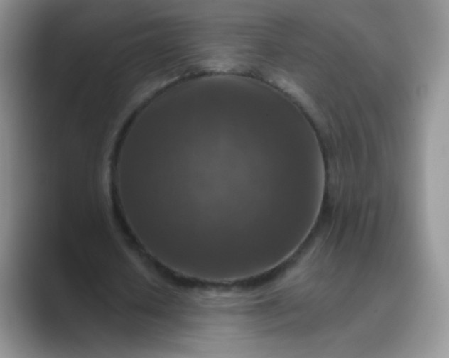 X0000089700626200707051644