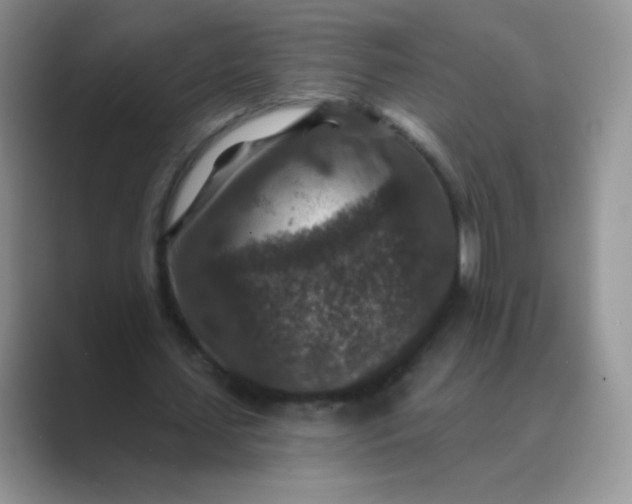 X0000089700627200707051644