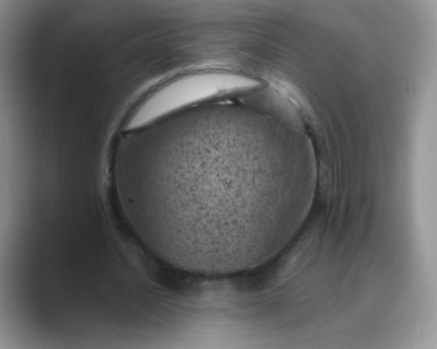 X0000089700628200707051644