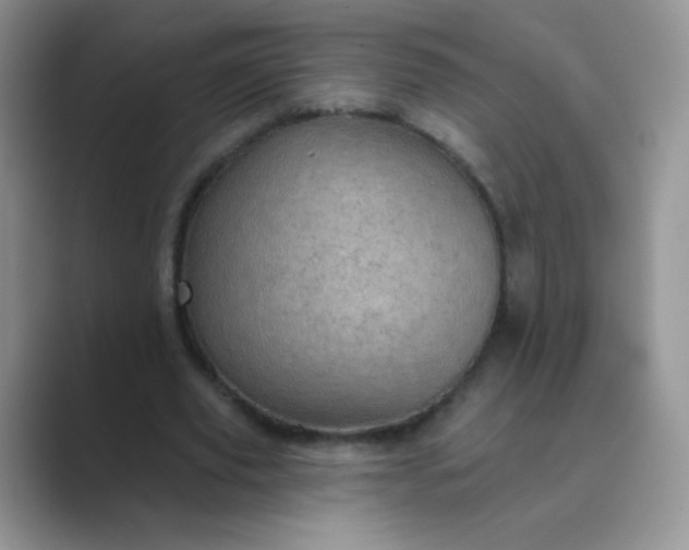 X0000089700629200707051644