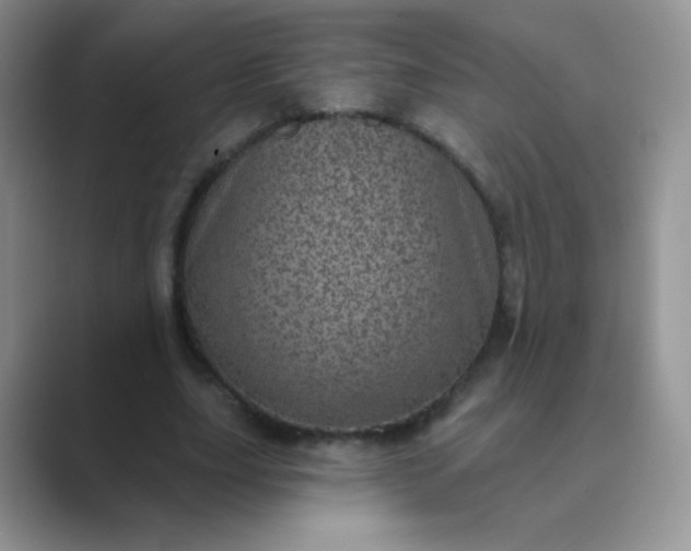 X0000089700631200707051644