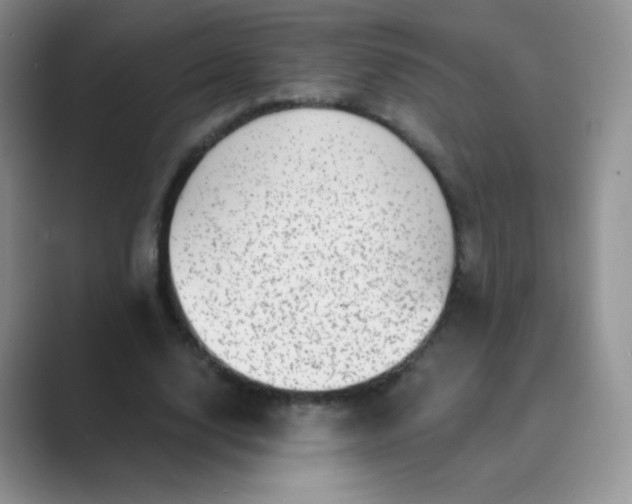 X0000089700632200707051644