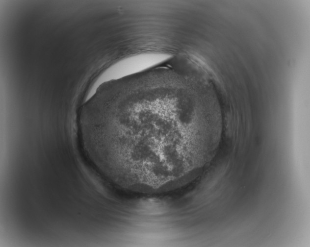 X0000089700634200707051644