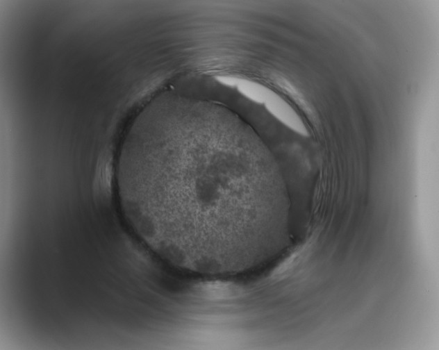 X0000089700637200707051644