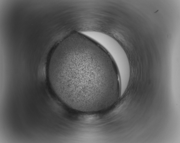 X0000089700638200707051644