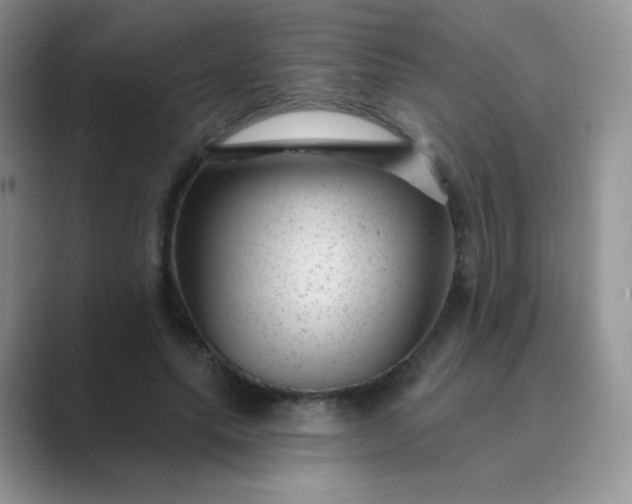 X0000089700639200707051644