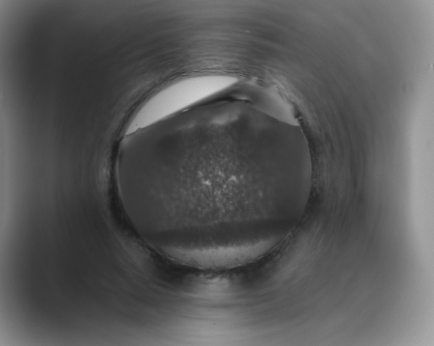 X0000089700640200707051644