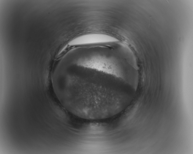 X0000089700641200707051644