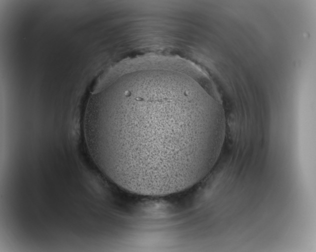 X0000089700642200707051644