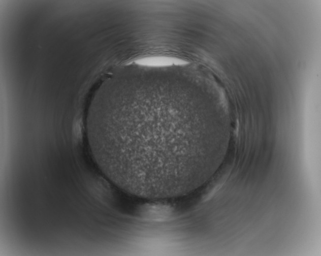 X0000089700644200707051644