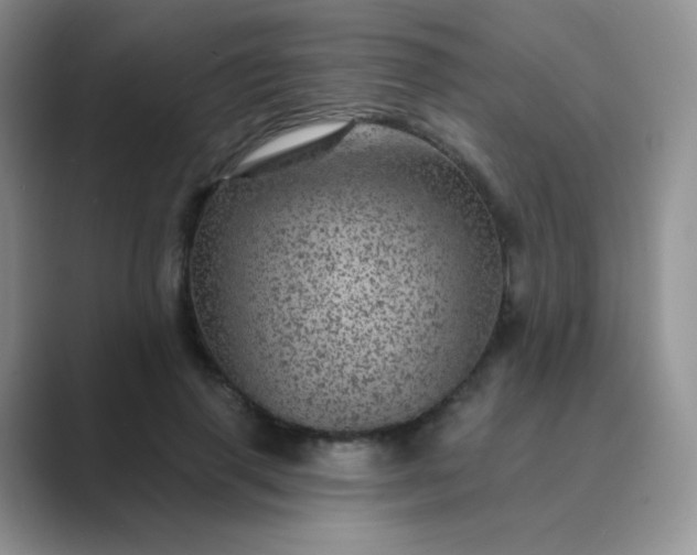 X0000089700645200707051644