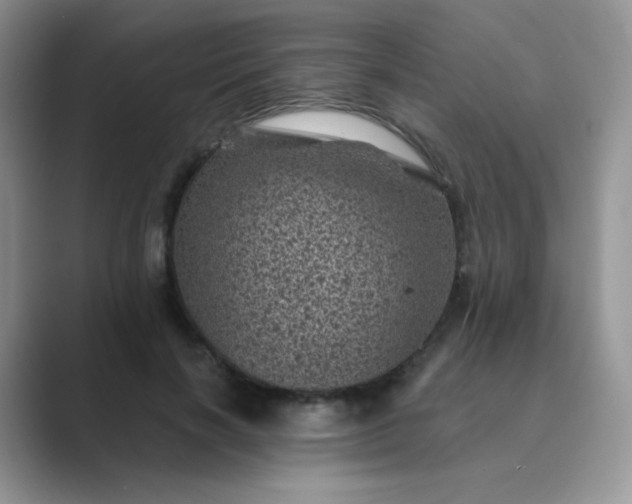 X0000089700646200707051644