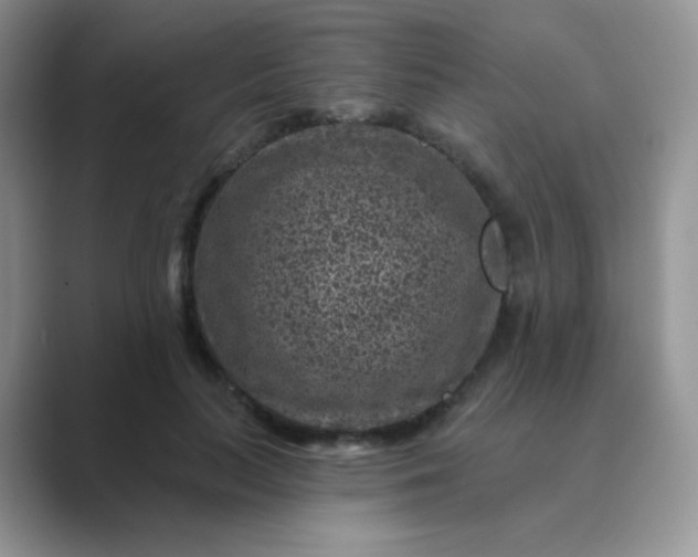 X0000089700647200707051644