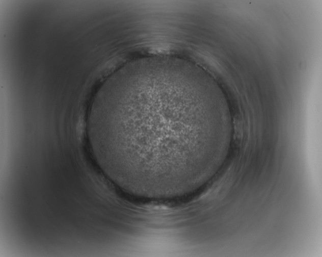 X0000089700648200707051644