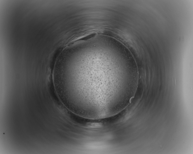 X0000089700649200707051644