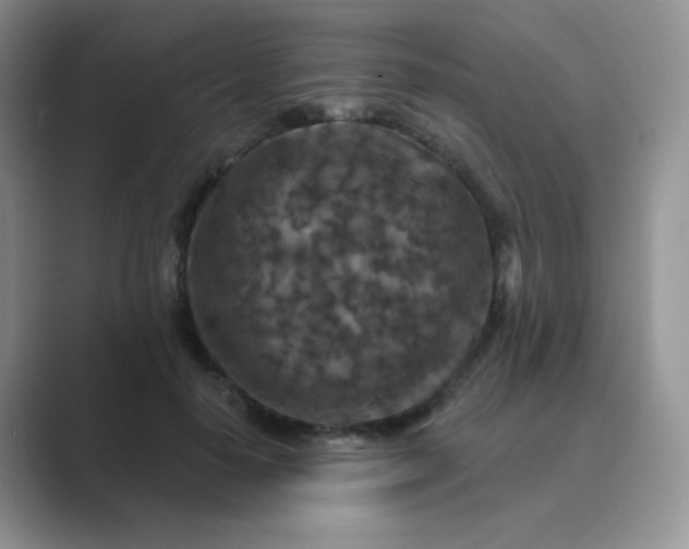 X0000089700650200707051644