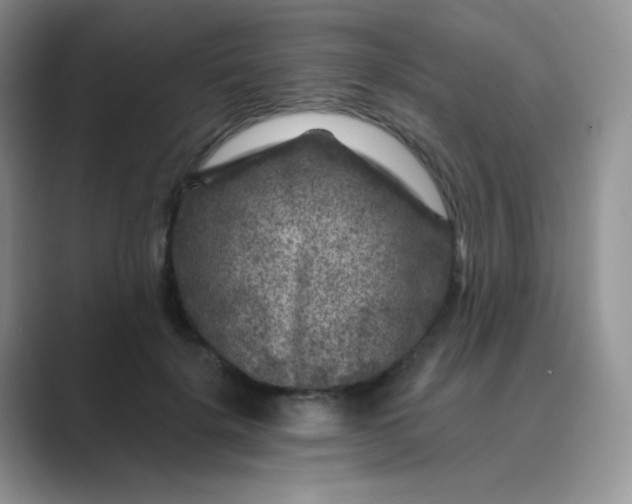 X0000089700652200707051644