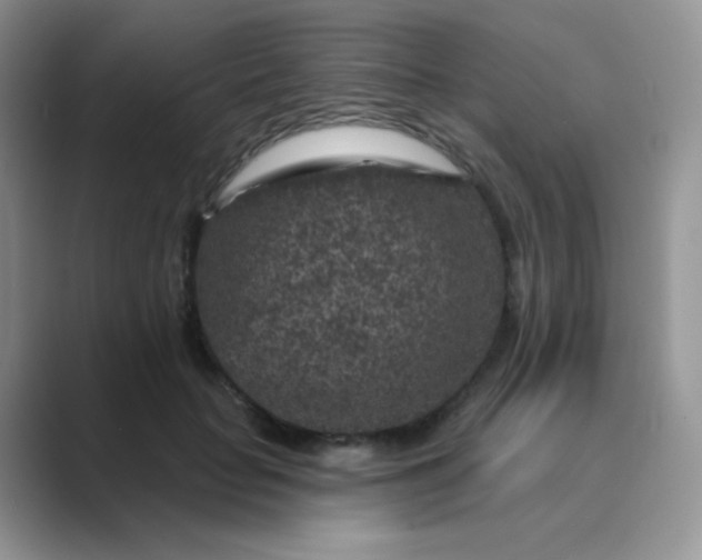 X0000089700653200707051644