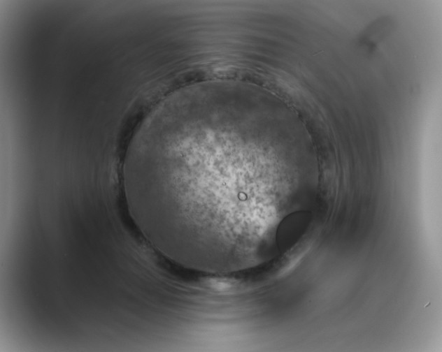 X0000089700654200707051644