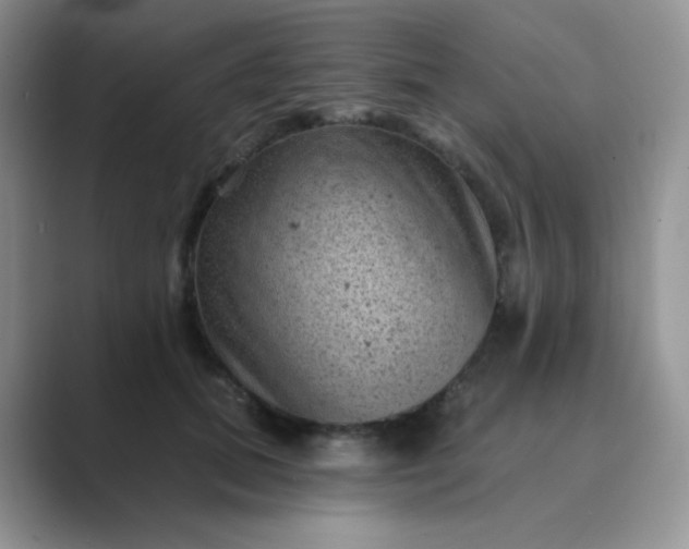 X0000089700655200707051644