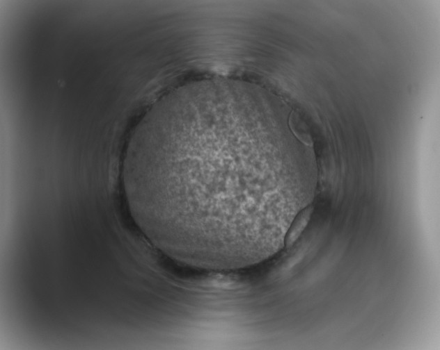 X0000089700656200707051644