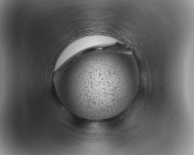 X0000089700657200707051644