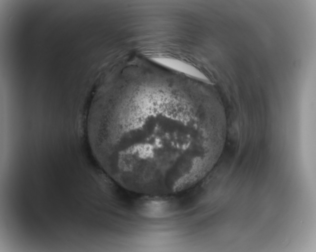 X0000089700658200707051644