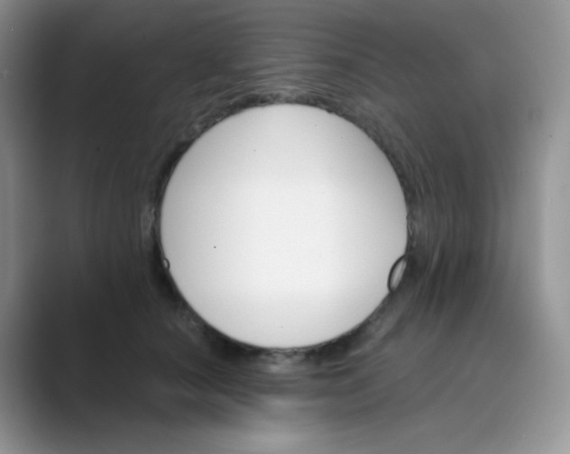 X0000089700660200707051644