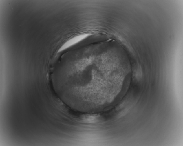 X0000089700661200707051644