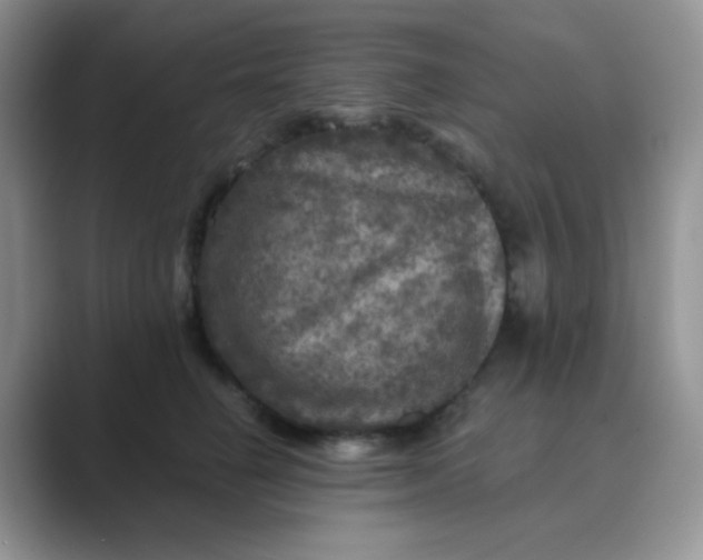 X0000089700662200707051644