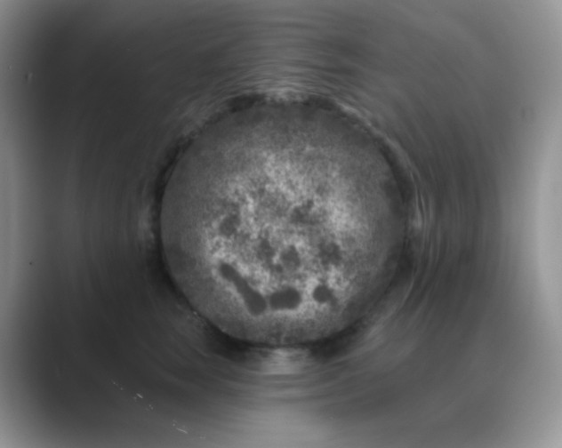 X0000089700663200707051644