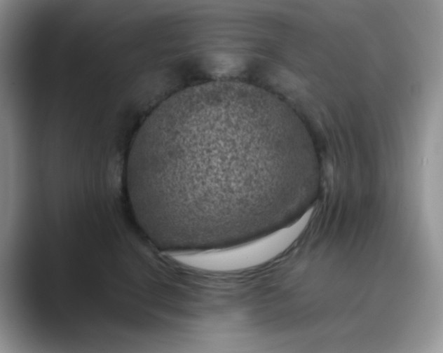 X0000089700664200707051644