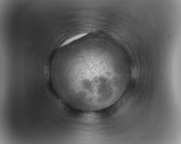 X0000089700666200707051644