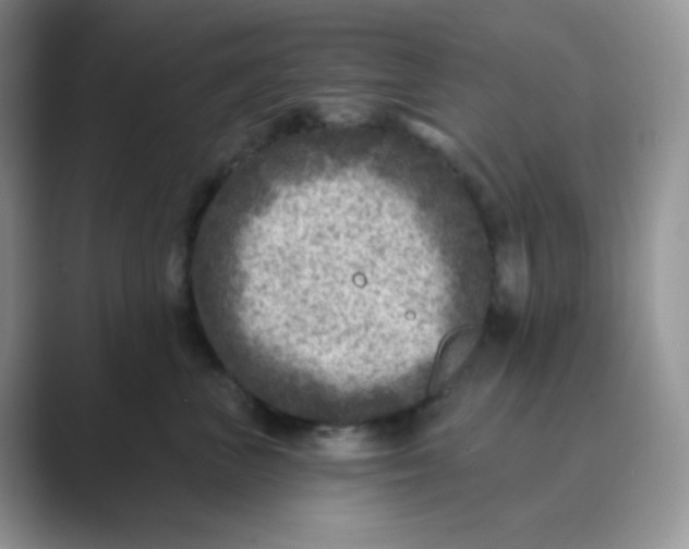 X0000089700667200707051644