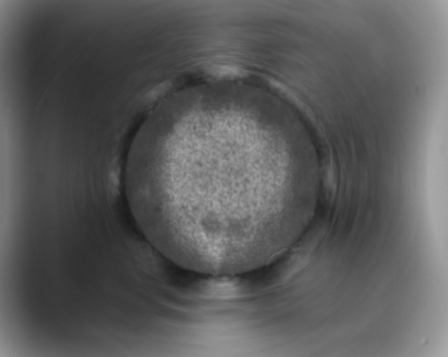 X0000089700668200707051644