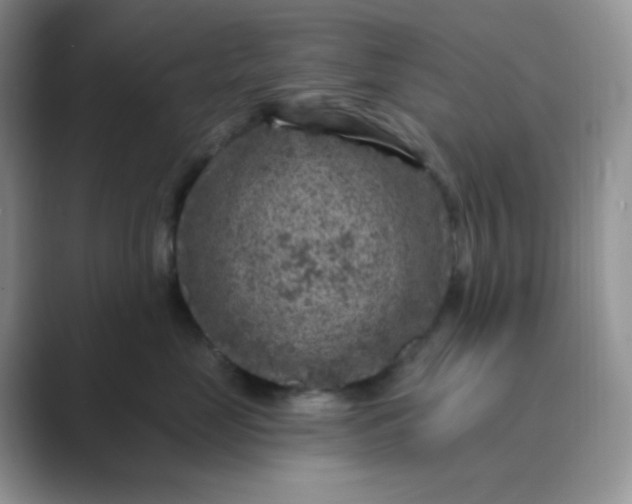 X0000089700669200707051644