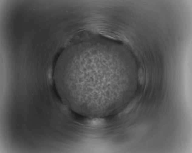 X0000089700670200707051644