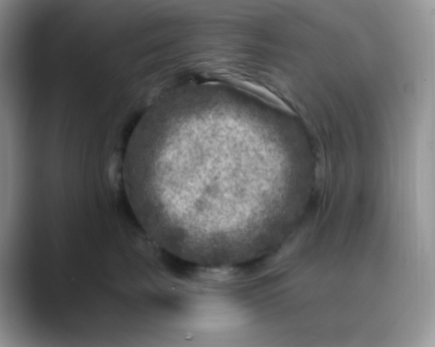 X0000089700671200707051644